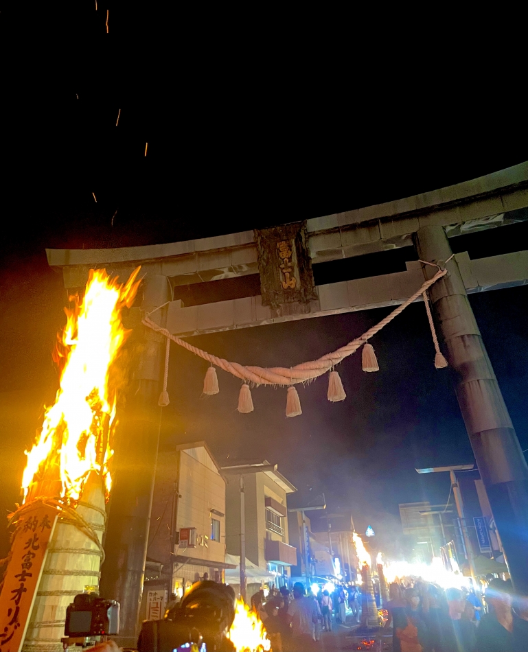 一条 葵