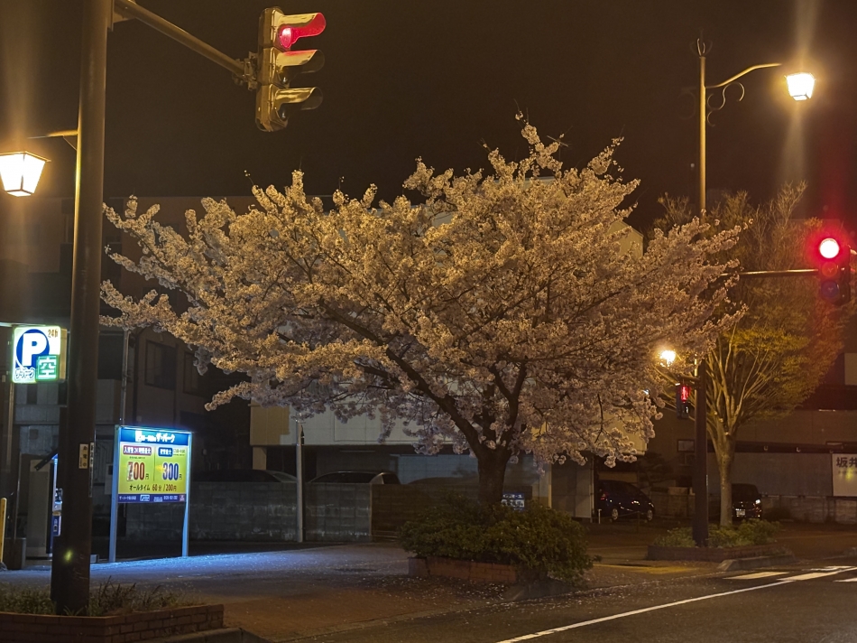 club Diana日記1635172