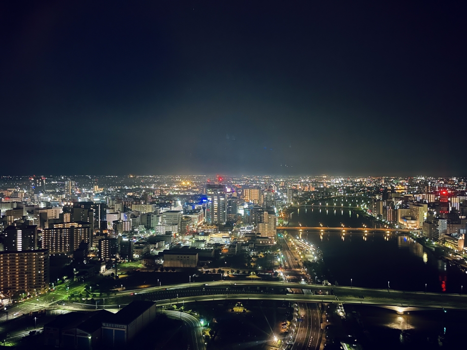 一条 葵