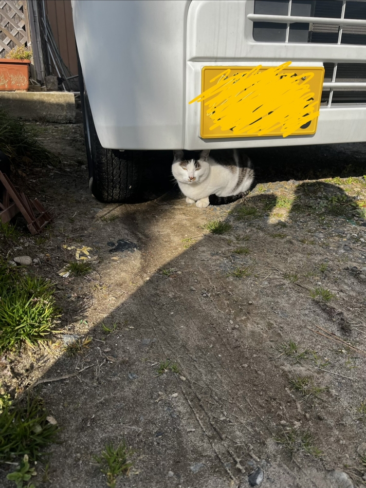 スナックBar Peace日記1610905