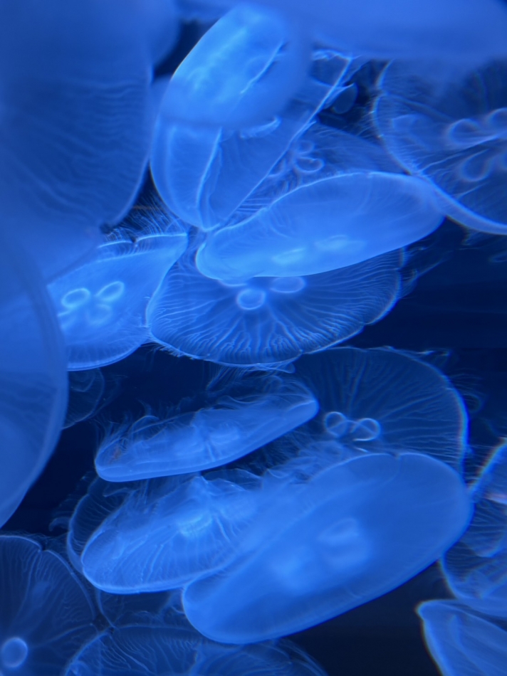 はじめまして🧸💗