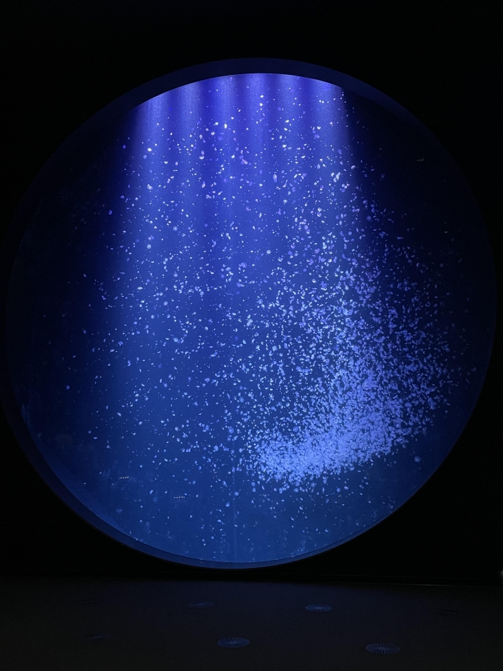 カラオケハイボールbar美人姉妹日記1618317