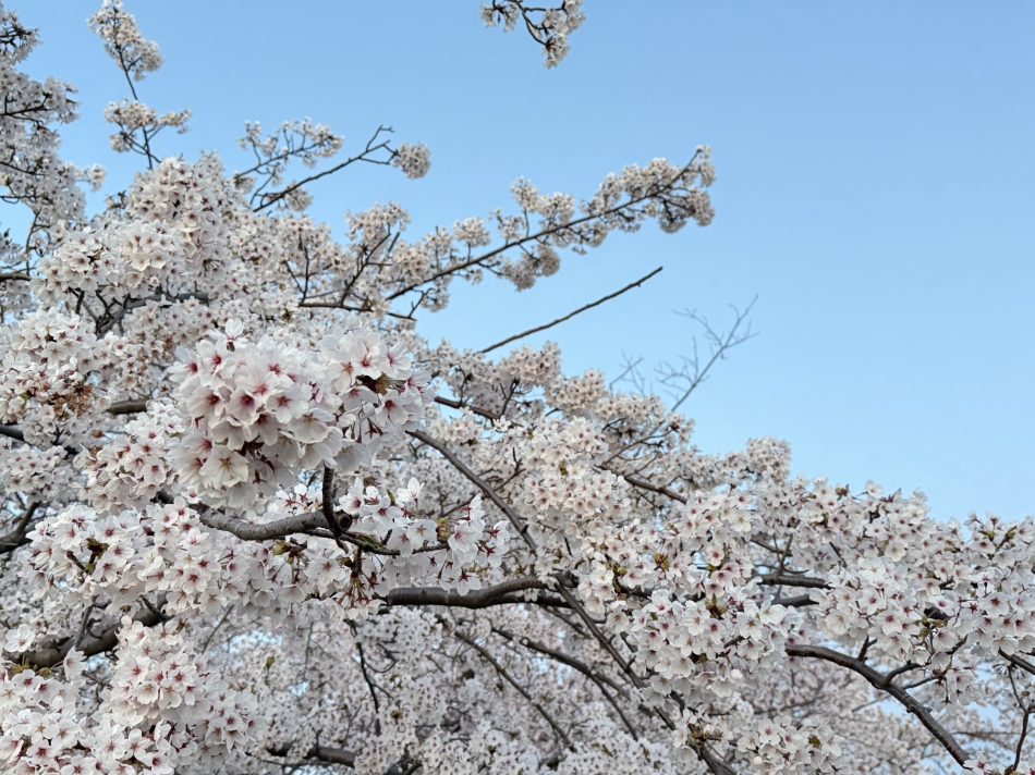 スナックBar Peace日記1638583