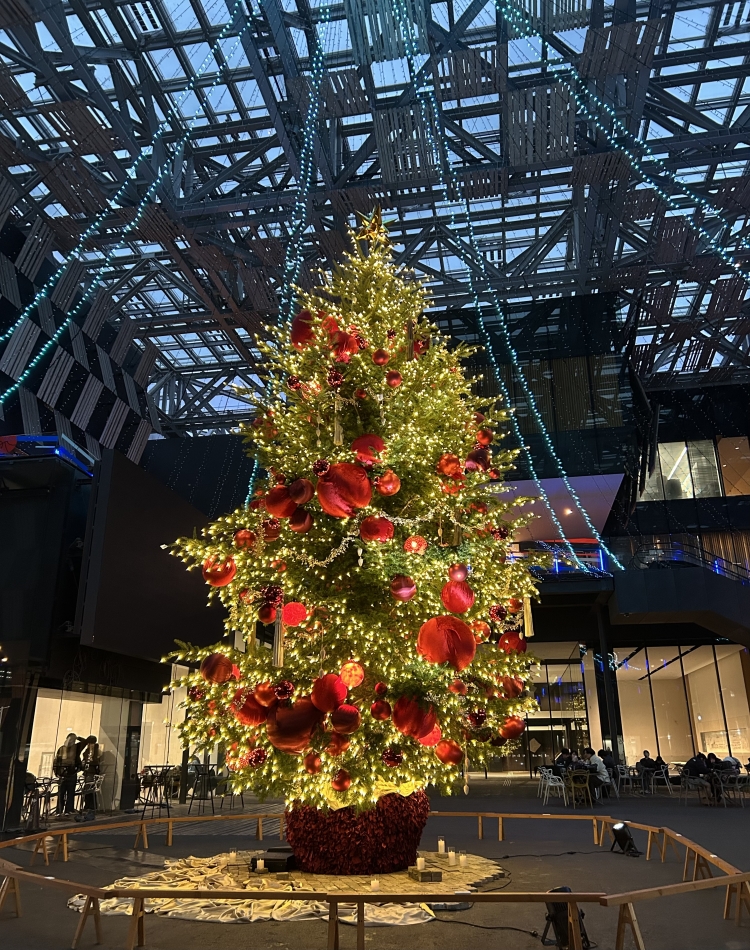 長岡行ったよん