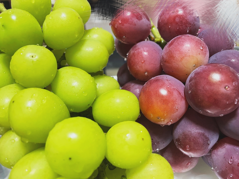 10月1日 22時17分のブログ