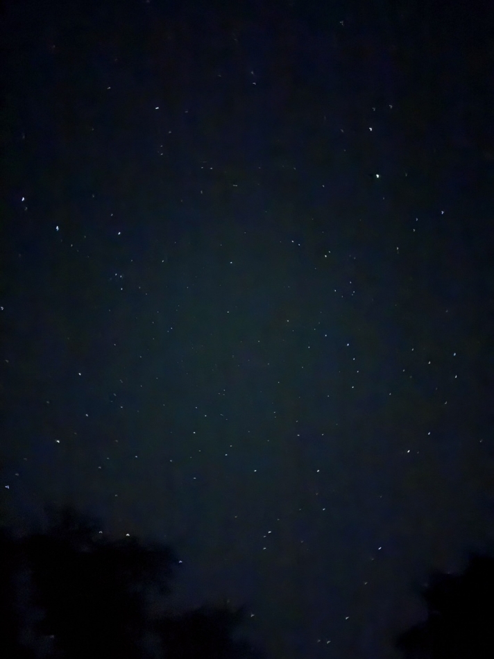 一条 葵