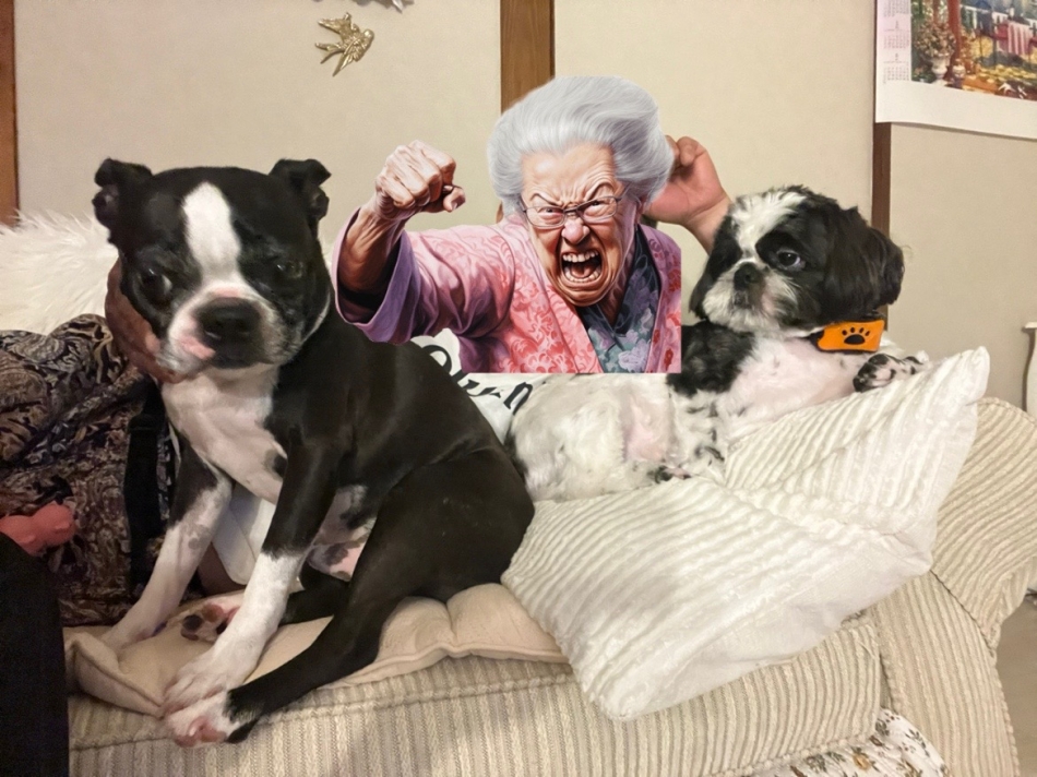 お気になさらず