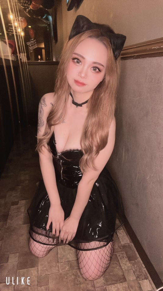 (/・ω・)/にゃー!