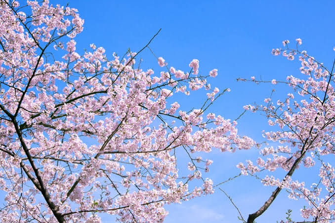 CLUB BOSS日記1630126