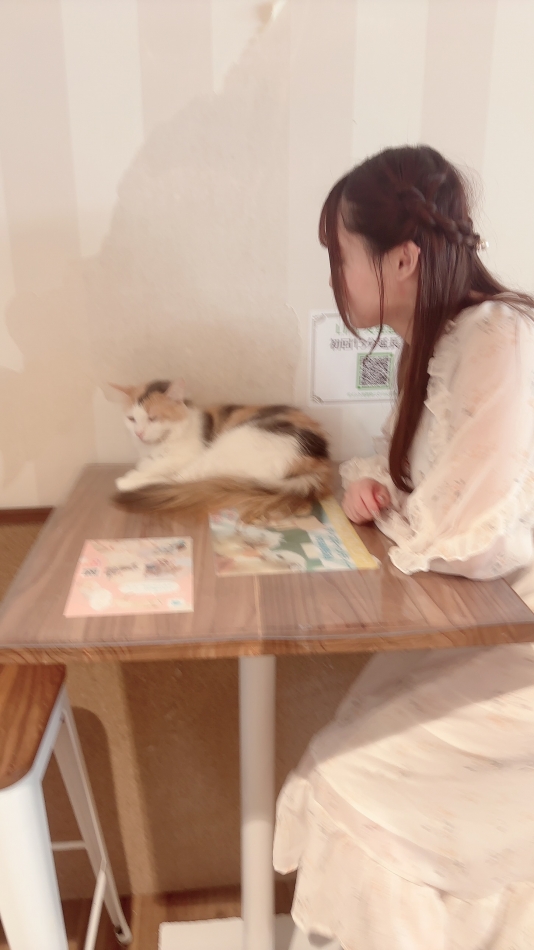 Premium　Ragdoll日記1203732