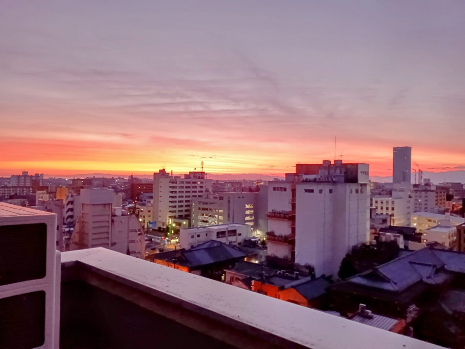 一条 葵