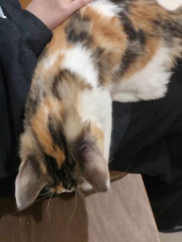 クラブ プラチナ 長野日記1554595