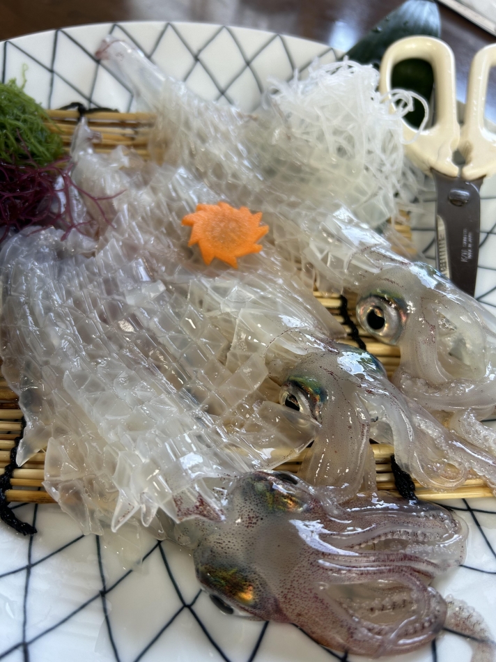 ただいまです⛴️