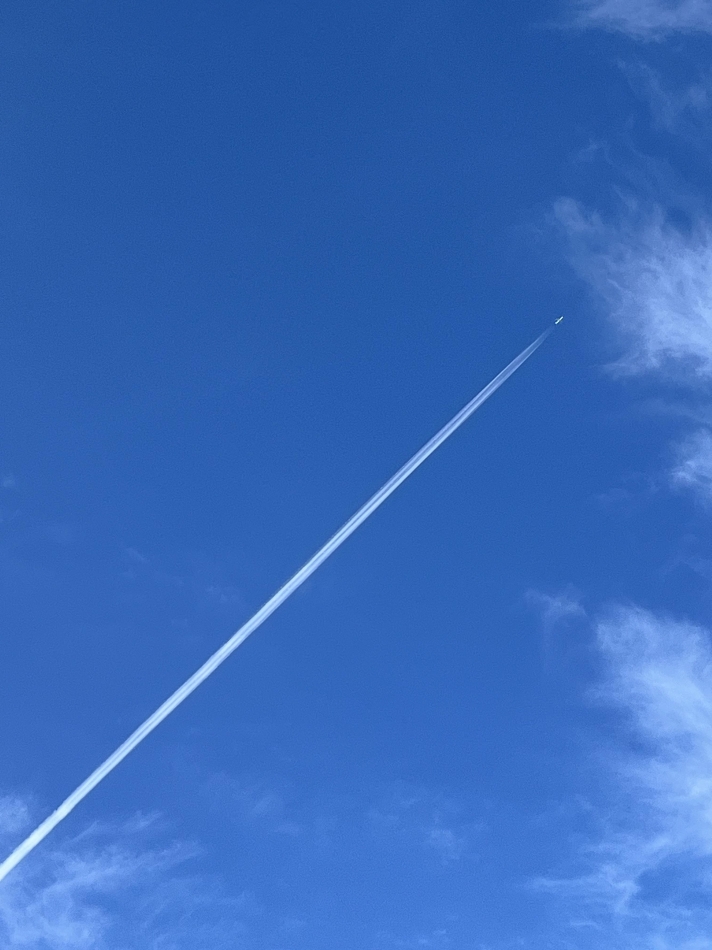 11月24日 21時23分のブログ