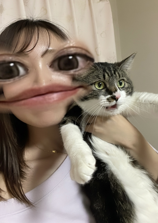 イヤ～～～🐱