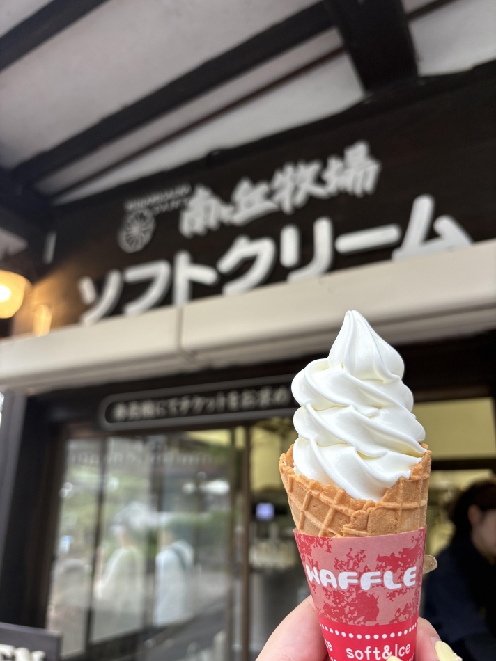 一条 葵