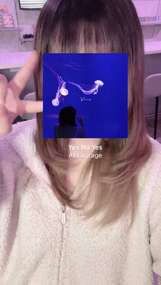 Yes no yes / 赤いくらげ