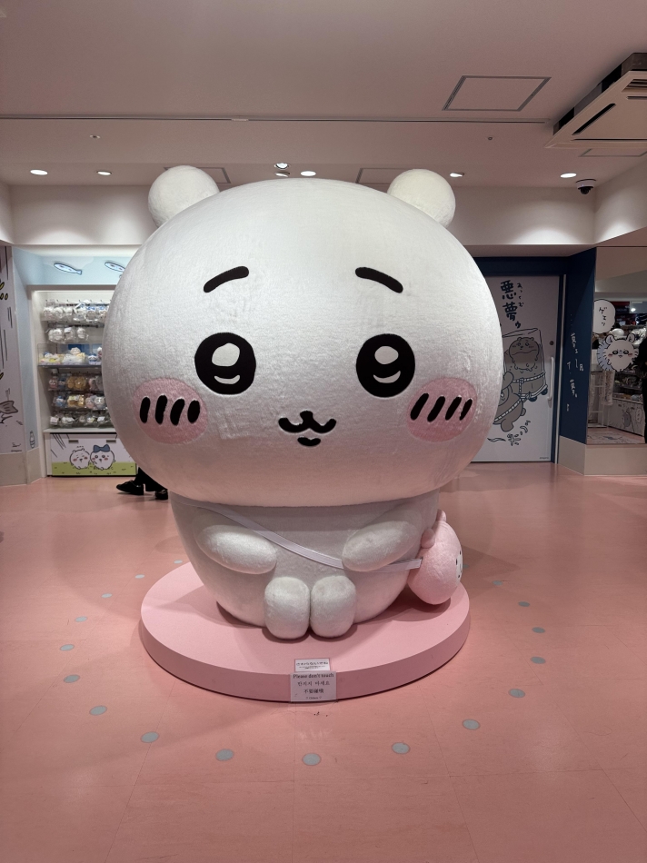 一条 葵