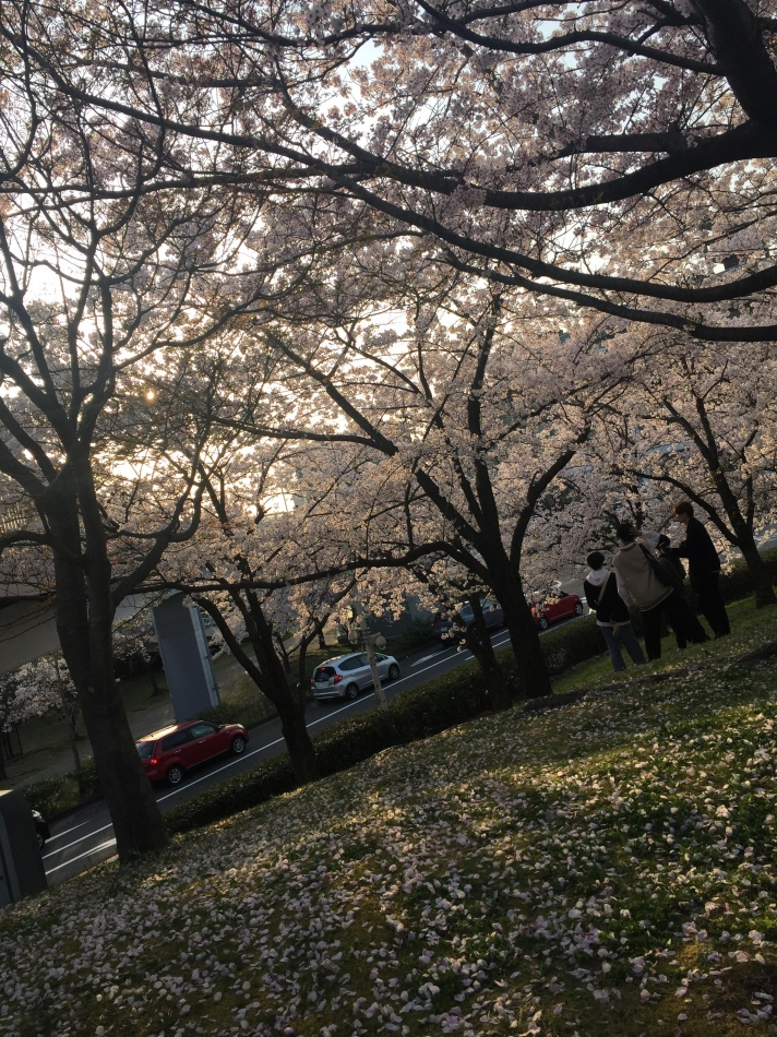 苦手だったけど