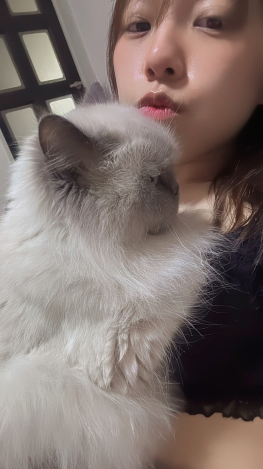 どう考えても明日ゴルフできる体調してない