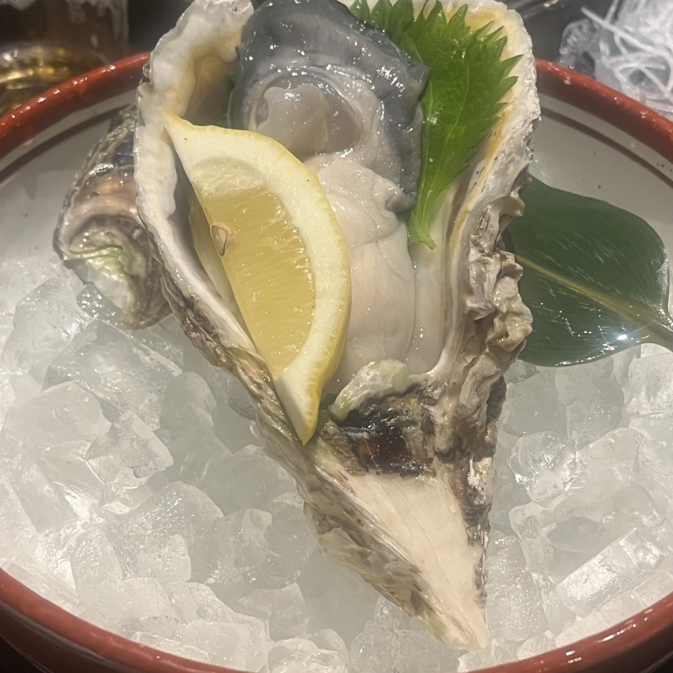 一条 葵