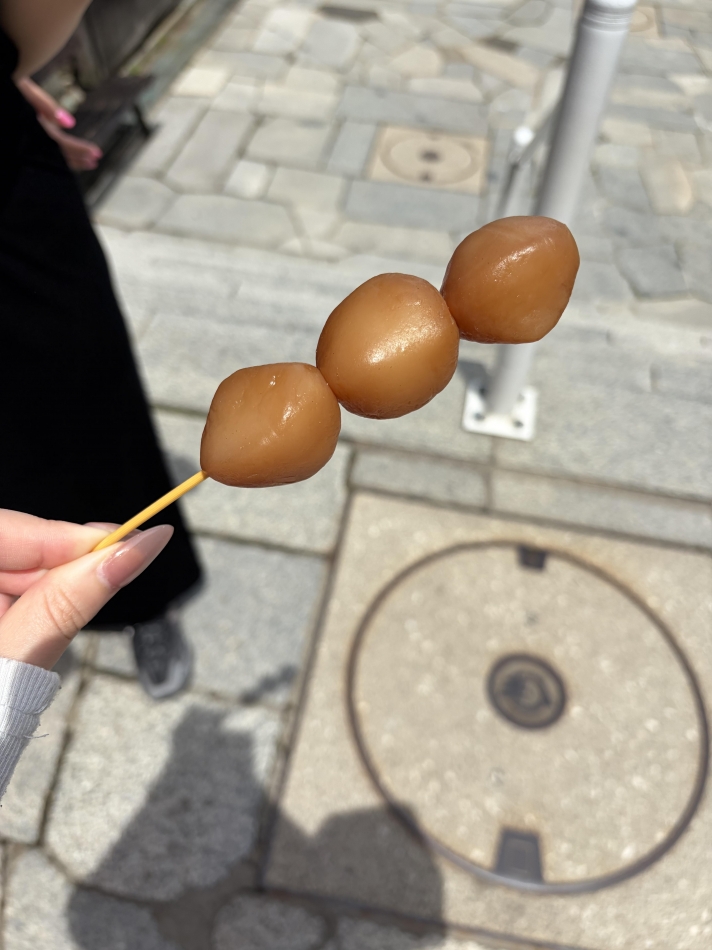 一条 葵
