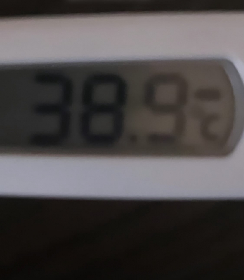 9月10日 19時00分のブログ