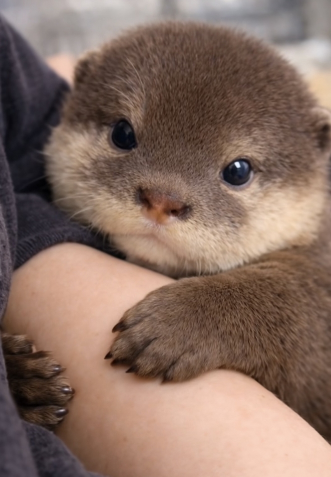 CLUB WONDER日記1627632