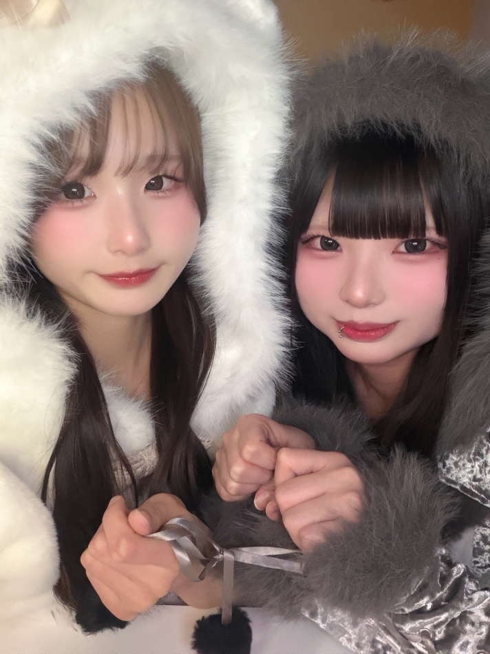 わんだふるライフ