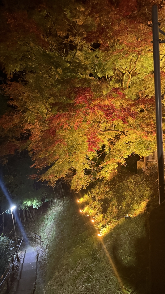 クラブ プラチナ 諏訪日記1535587