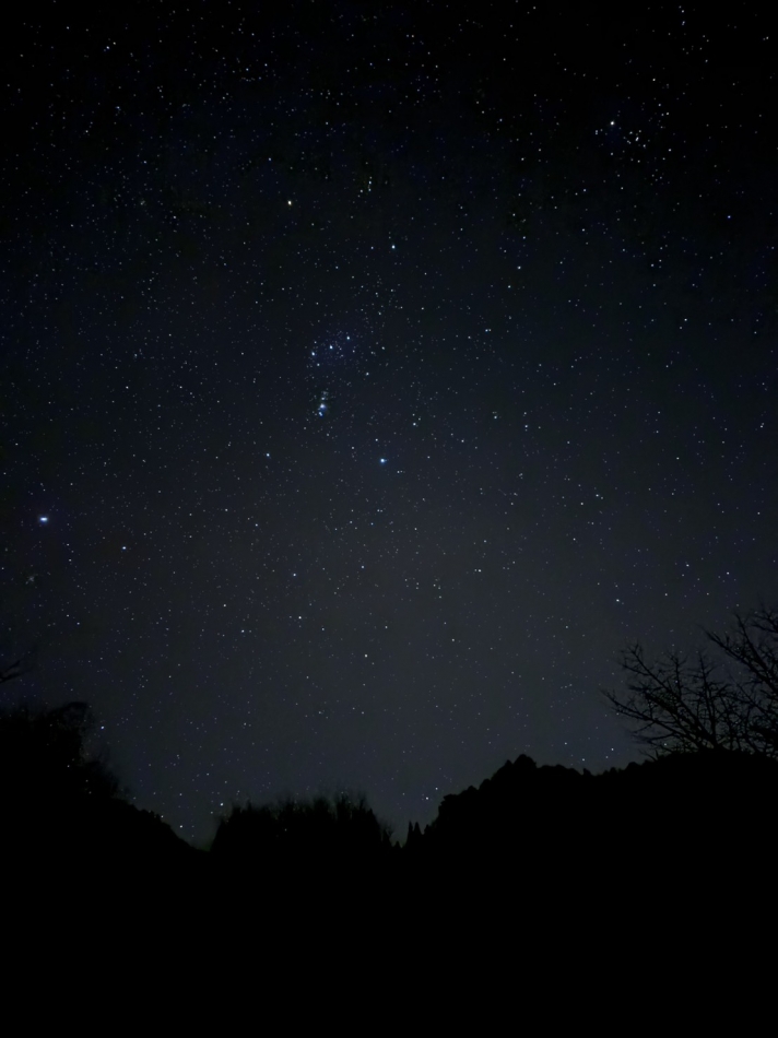 CLUB　Paladin日記1552657