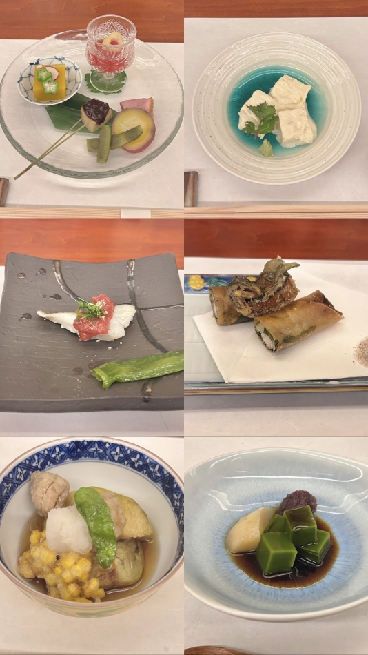 一条 葵