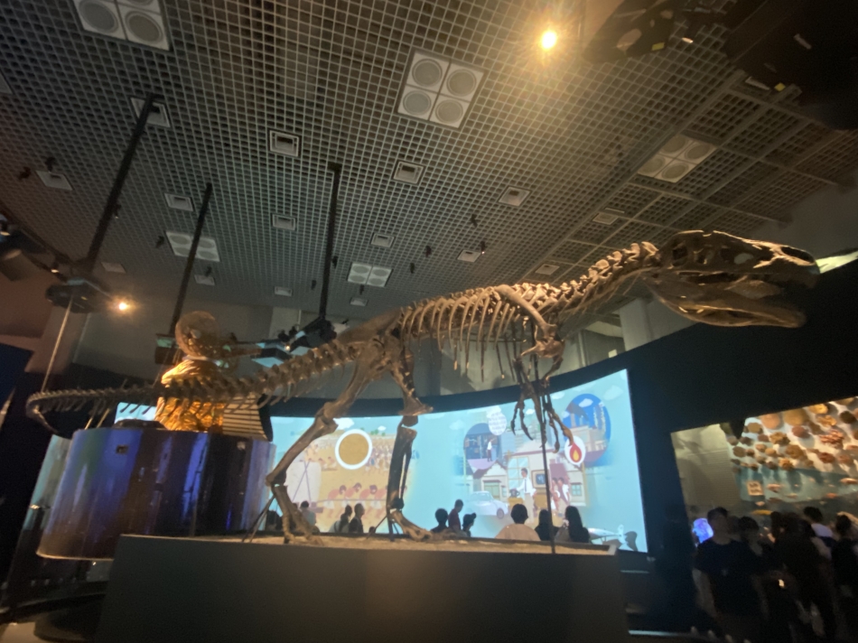 ダフネ日記1611994