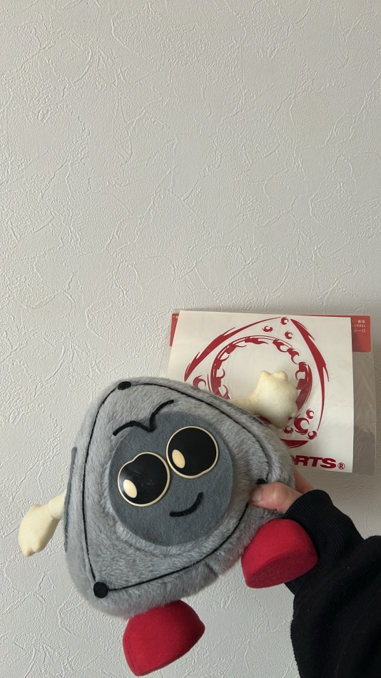 V-niigata-日記1618402