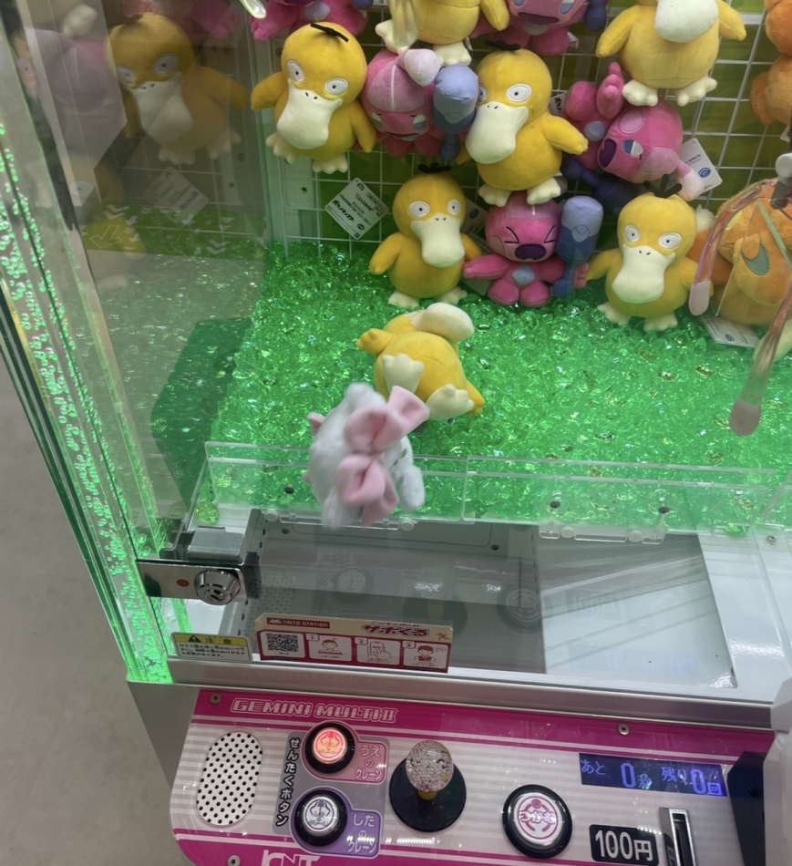 一条 葵