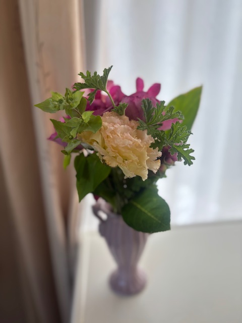 一条 葵