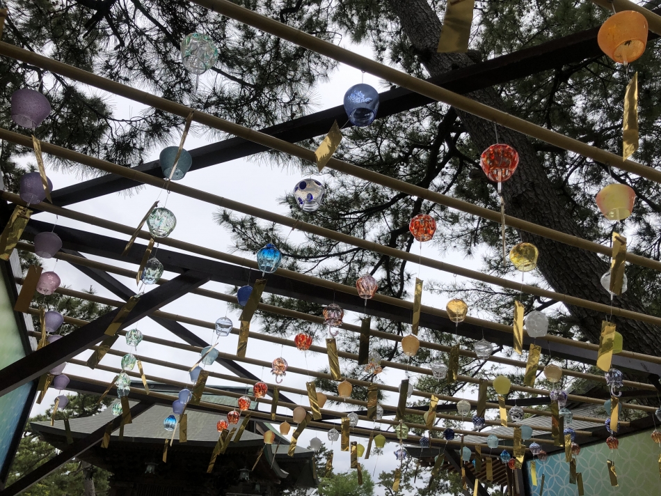 夏が近づいてる