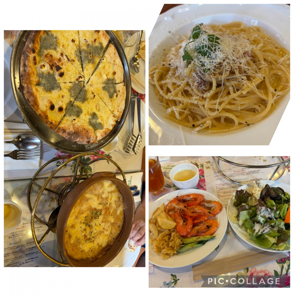 一条 葵