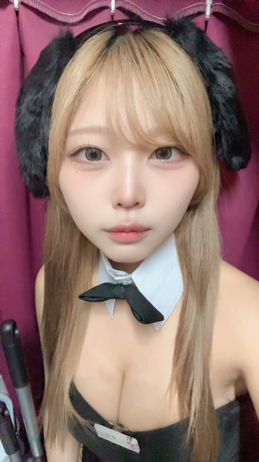 一条 葵