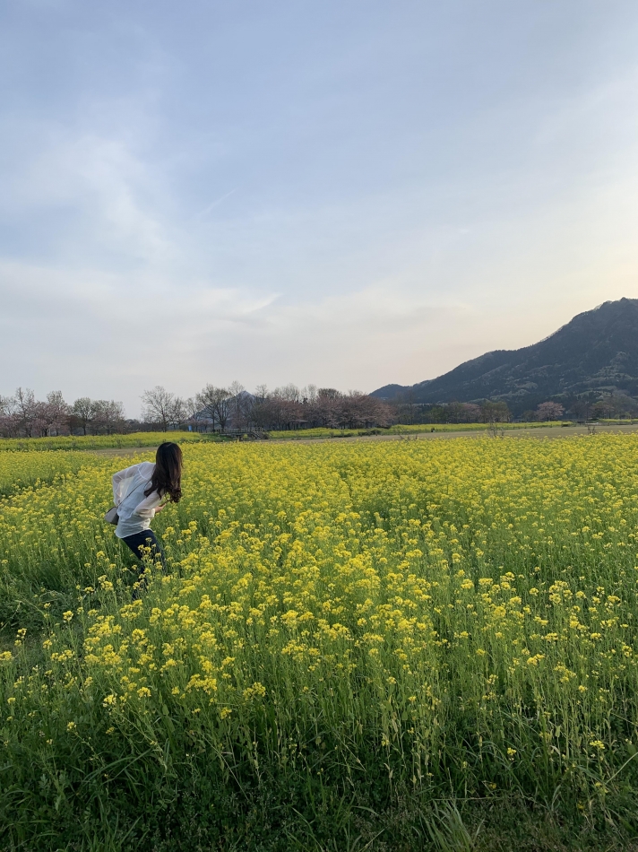 CABAR LEPUS日記883073