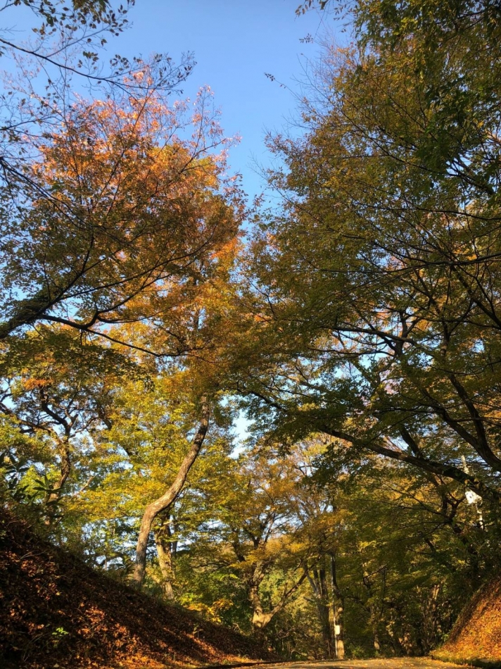 古町のお姉ちゃん