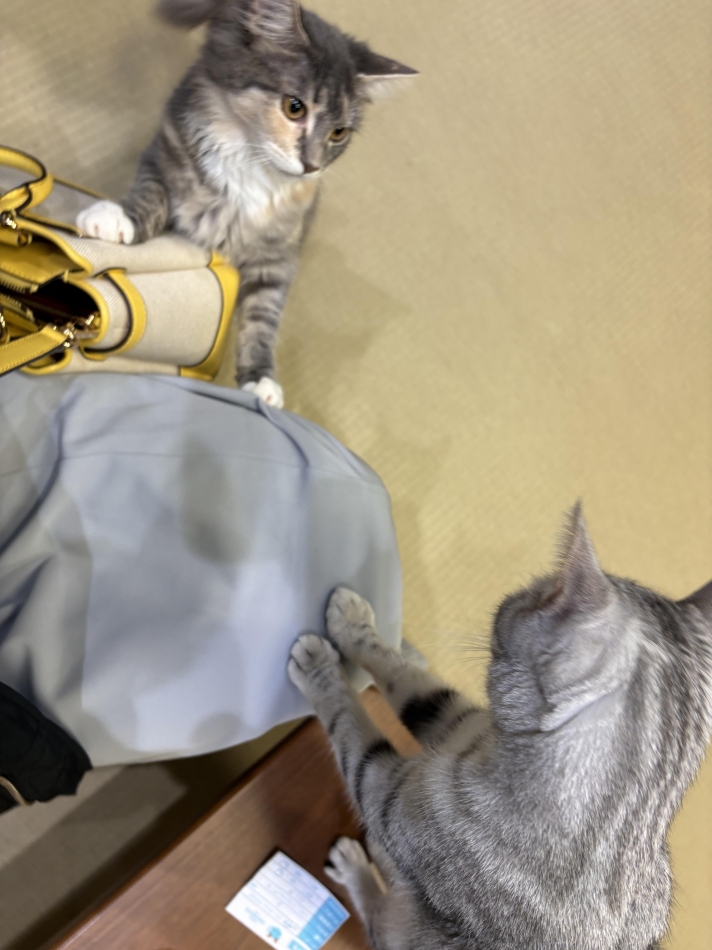 熟女キャバクラ Lips日記1637566