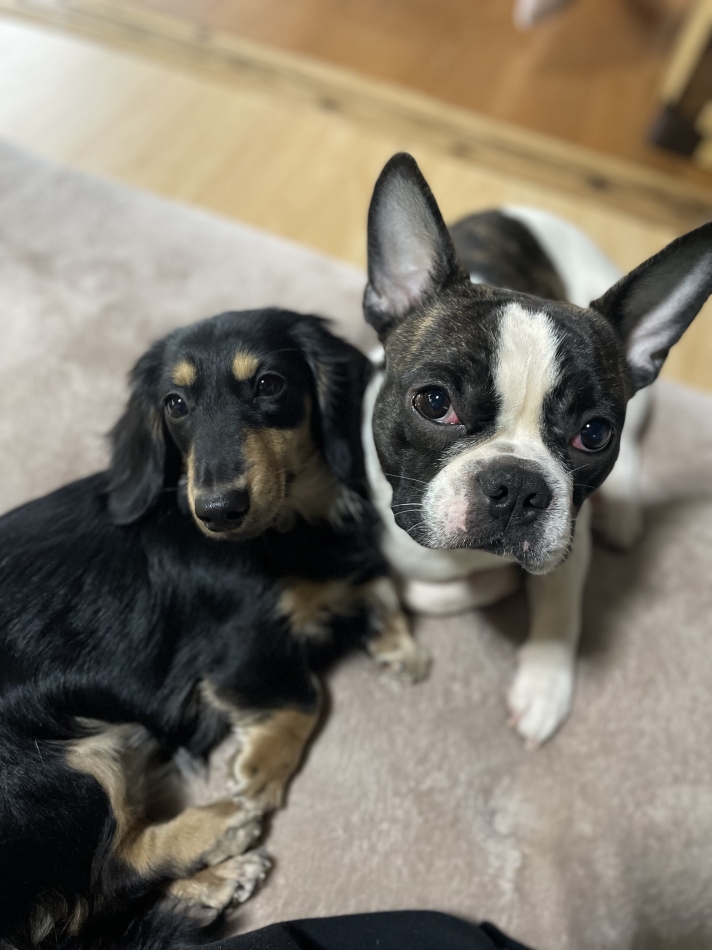 ??????????????????????????