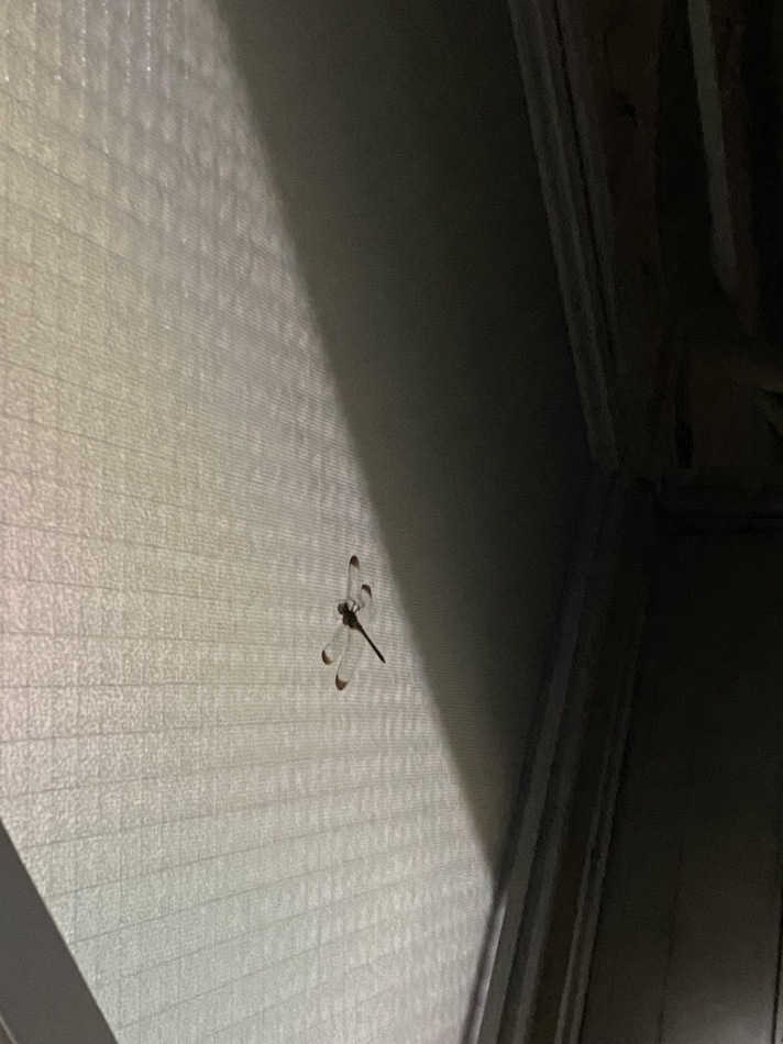 お疲れ様でした。。