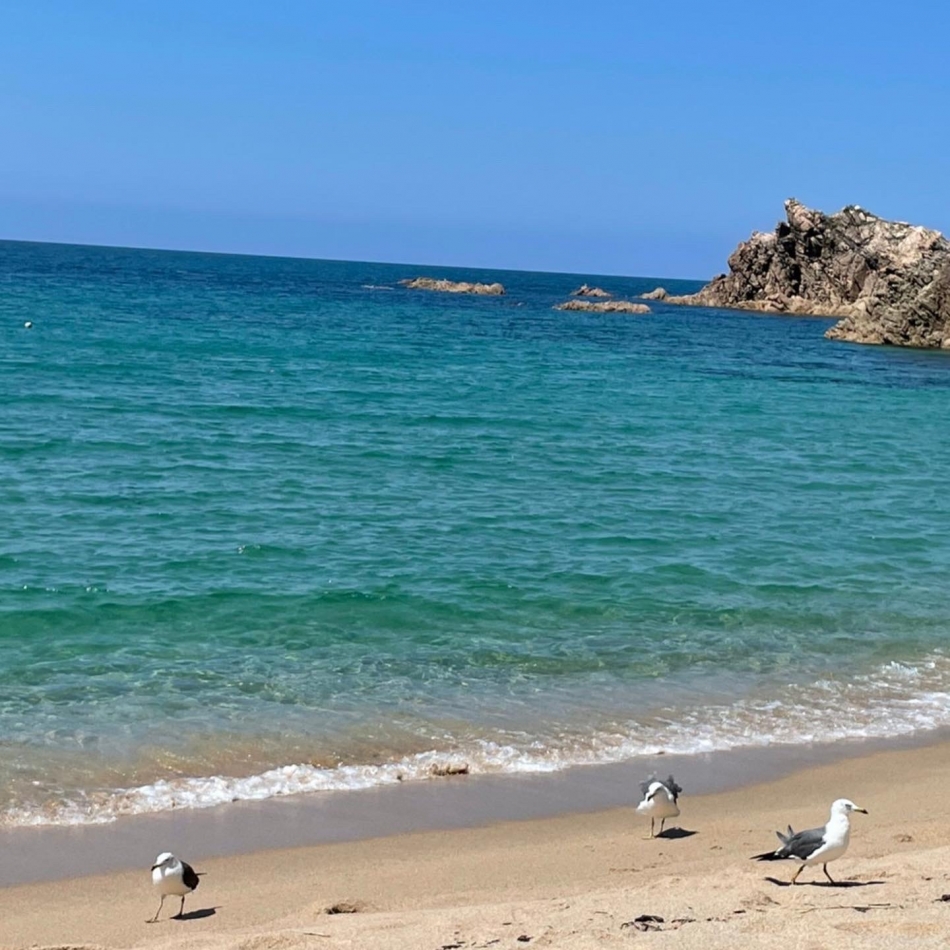 冬飽きた -᷅ ̫̈-᷄ 