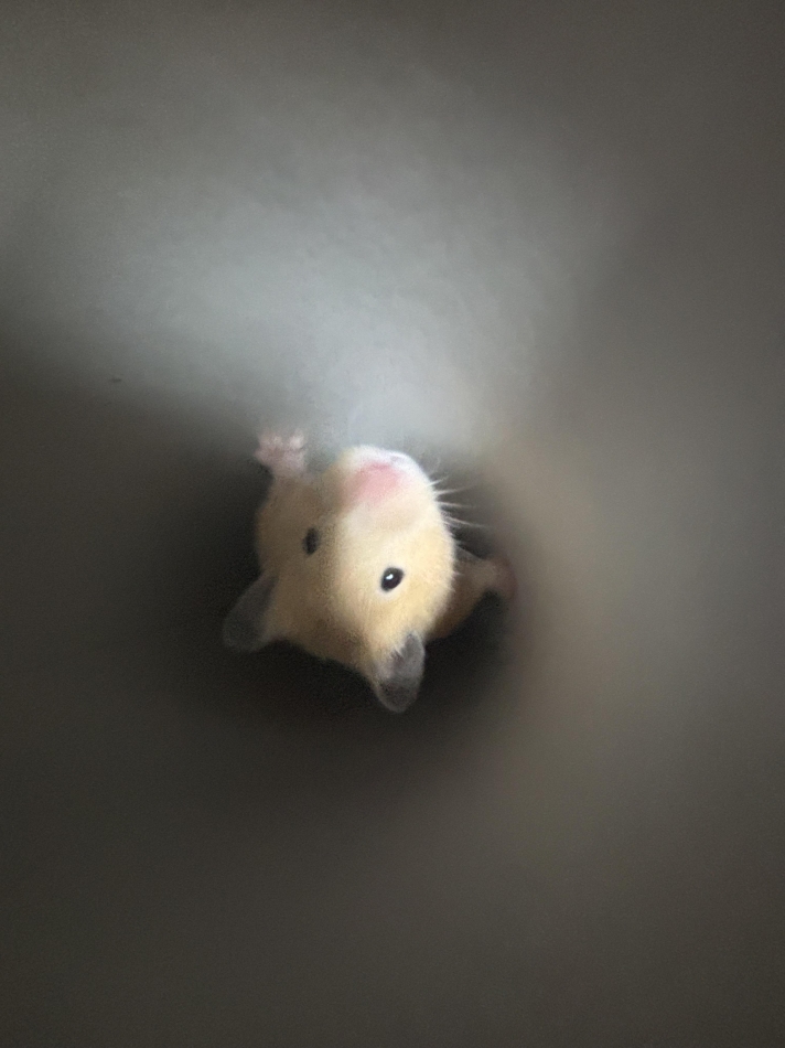 PUB AQUA日記1513876