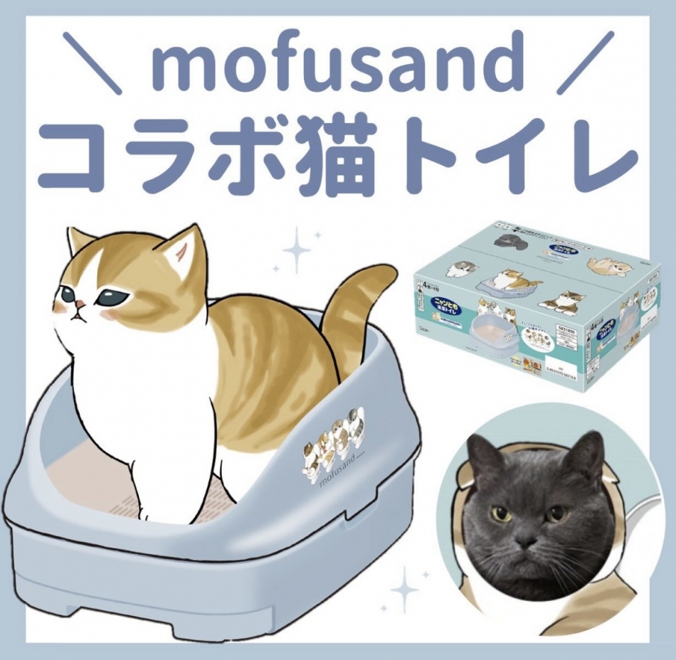 CLUB WONDER日記1624613