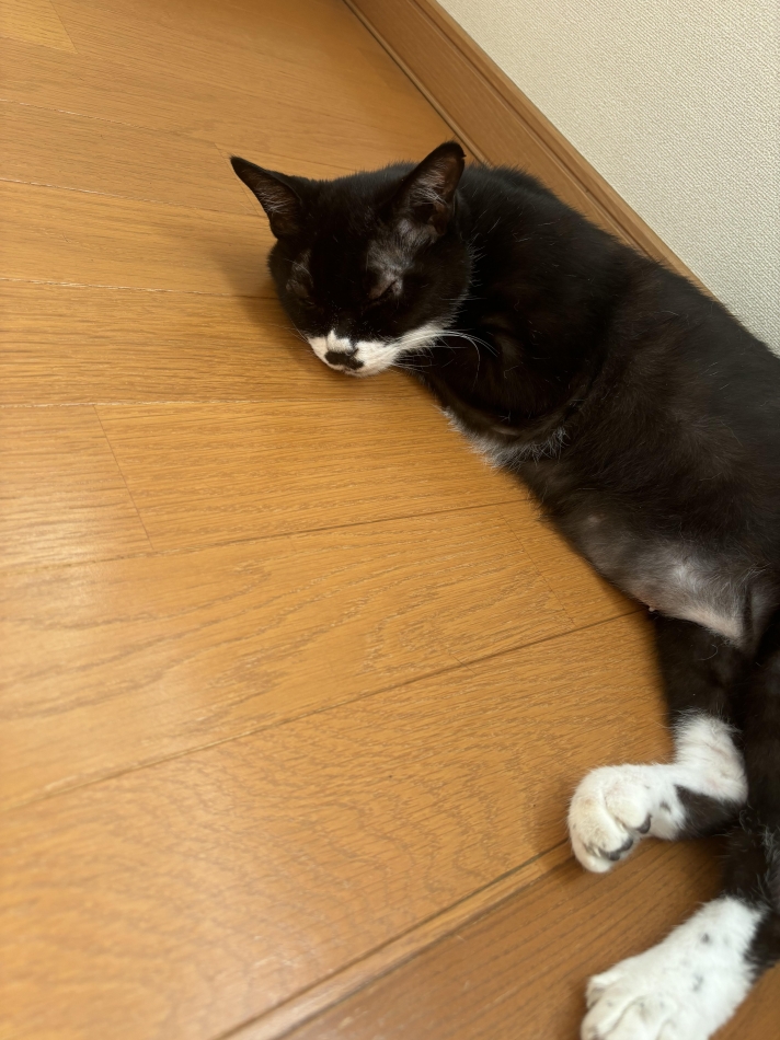 ずっとねてるね