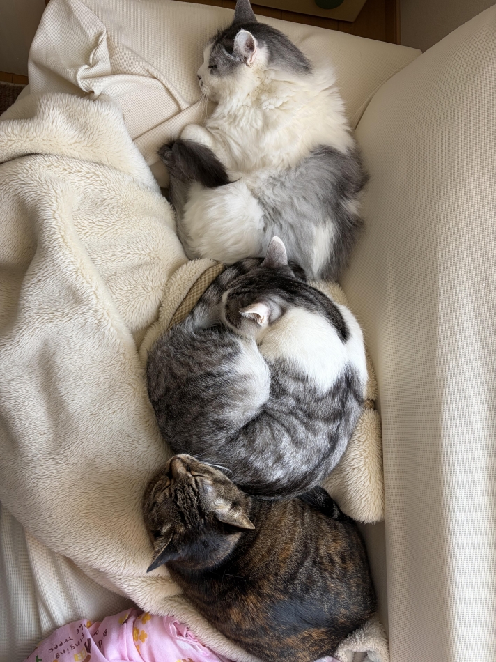 カラオケハイボールbar美人姉妹日記1615236