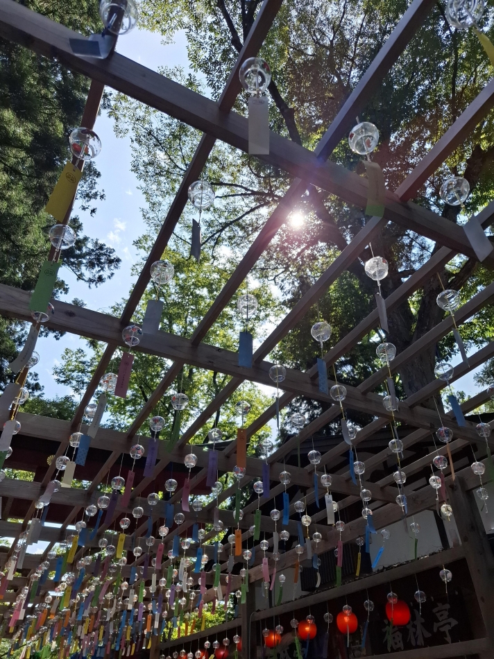 熟女キャバクラ Lips日記1642399